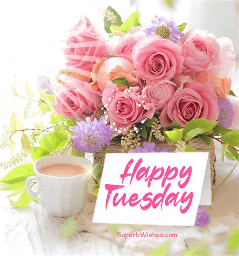 Happy Tuesday  With Beautiful Pink Roses