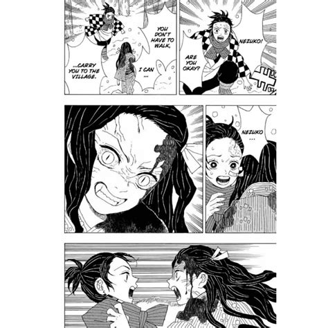 Demon Slayer Manga Book 1 Demon Slayer Kimetsu No Yaiba Vol 1 1