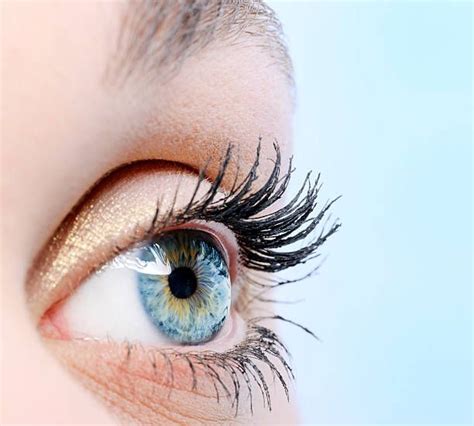 Human Eye Side View Stock Photos Pictures And Royalty Free Images Eye