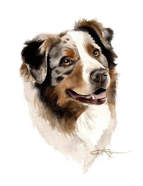 Australian Shepherd Dog Art Print Signed By Artist By K9artgallery 12