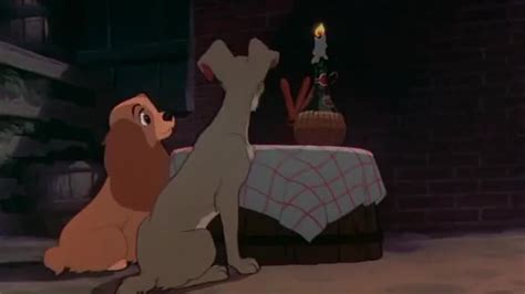 Yarn Now Here You Are Lady And The Tramp 1955 Romance Video