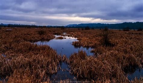 Nisqually Basin 1 78 Olympus Digital Camera Micki Pacific Flickr