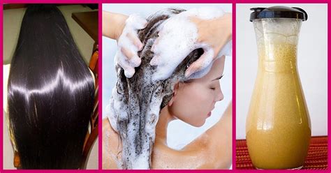Easy, diy shampoo for oily hair. 8 Homemade Coconut Oil Shampoo Recipes For Beautiful Hair