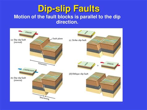Ppt Folds Faults And Deformation Powerpoint Presentation Free