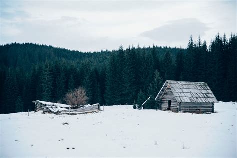 Free Images Tree Nature Forest Snow Winter Mountain Range Hut