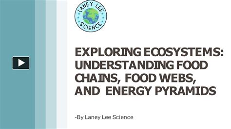 Ppt A Comprehensive Guide To Ecosystems Food Chains Food Webs And