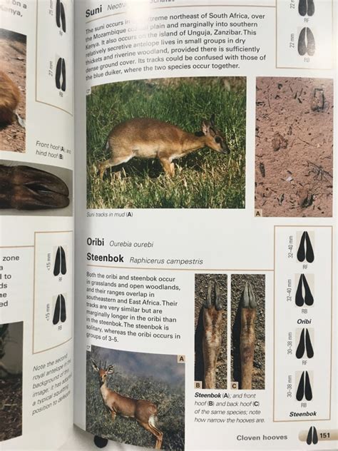 Books And App Review Stuarts Field Guide To The Mammals Of Southern