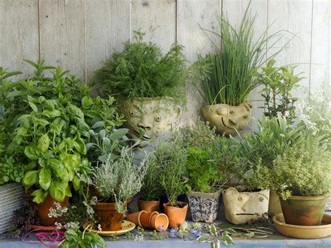 Check spelling or type a new query. Planning a Garden for Growing Herbs