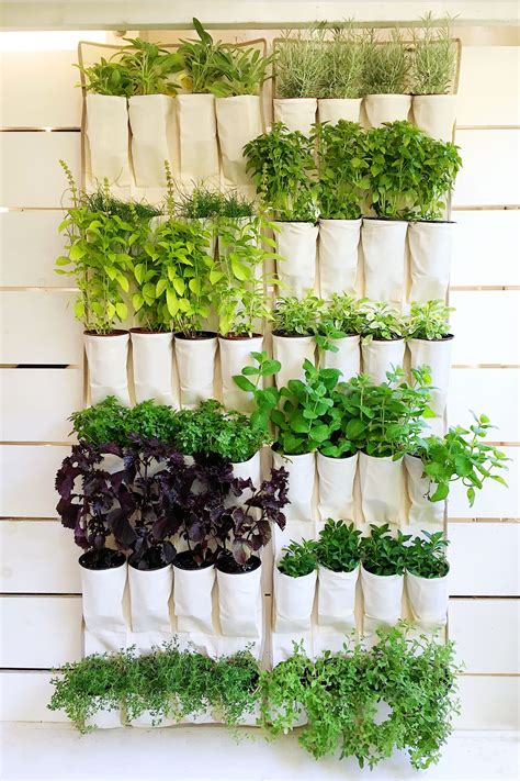Vertical gardening with shoe organizers. A hanging canvas shoe organizer repurposed into a vertical ...
