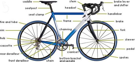 This beauty has a high end aluminium frame and carbon fork and steering tube. bike parts diagram | the anatomy of objects | Pinterest ...
