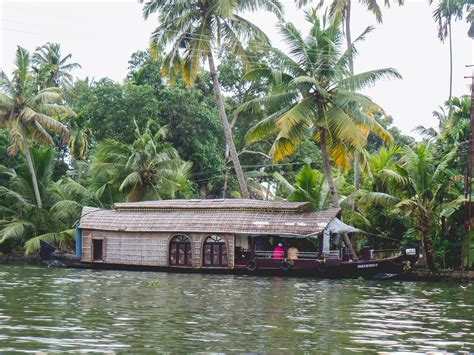 5 Reasons To Explore The Kerala Backwaters By Canoe Wee Gypsy Girl
