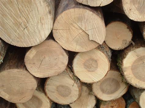 wood Free Photo Download | FreeImages