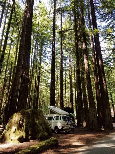 Burlington Campground - Humboldt Redwoods State Park in Weott California CA