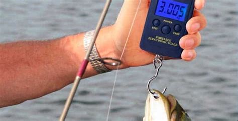 Best Fishing Scales Review And Guide 2021