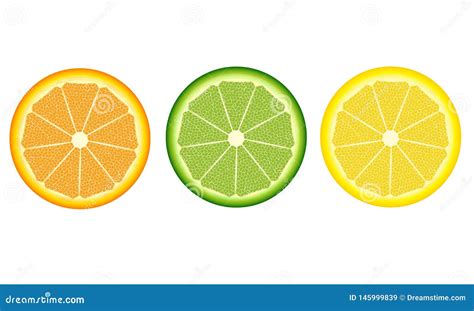 Set Of Circle Slices Of Orange Lemon And Lime On White Backgroud Stock