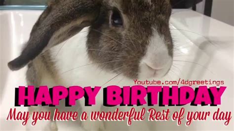 Happy Birthday Bunny Video Youtube
