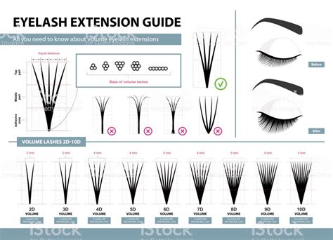 Eyelash Extension Guide Volume Eyelash Extensions 2d 10d Volume