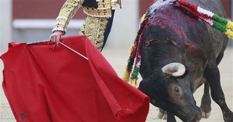 Matador Loses Testicle During Spanish Bullfight After Being Gored Huffpost Uk