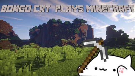 Bongo Cat Plays Minecraft Youtube