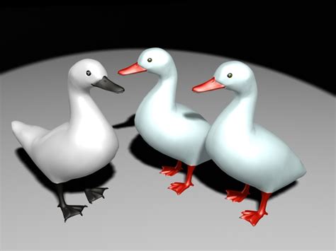 White Ducks 3d Model 3ds Max Files Free Download Cadnav
