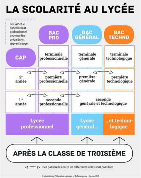 Les Voies Détude Après La Classe De Troisième Cio Du Marin