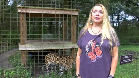 Big Cat Rescue Founder Responds To ‘tiger King Netflix Docuseries On Joe Exotic