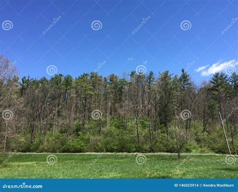 The Calm Of The Woods And Sky Stock Photo Image Of Color Colorful