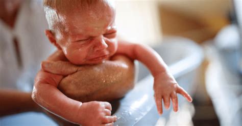 Banho Em Recém Nascido Como Dar Banho Em Bebê