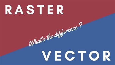 Raster And Vector Graphics What S The Difference Youtube