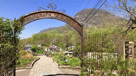 Add the lake lure flowering bridge to your list of things to do in the north carolina mountains! AAUW welcomes Lake Lure's Flowering Bridge speakers - The ...