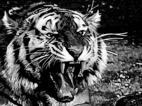 20+ Koleski Terbaru Wallpaper Macan Putih Prabu Siliwangi Hd - Neng Eceu