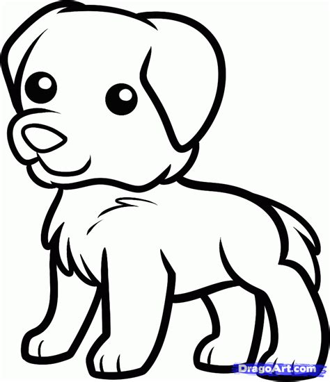 Golden Retriever Printable Coloring Pages Portal Tribun