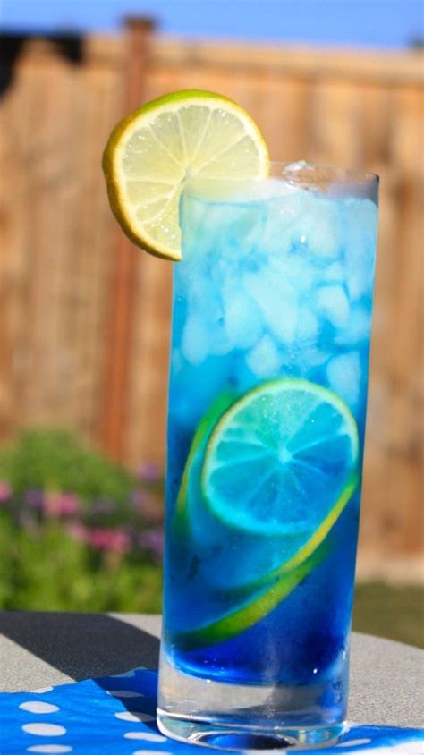 Top 10 Summer Cocktail Recipes Drink Ideas Drinks Citrus Vodka