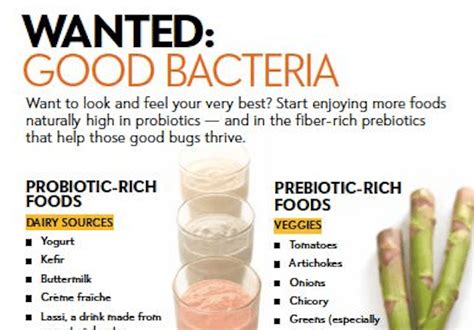 39 foods drinks that are rich in good bacteria for your gut lifehack healthy food facts