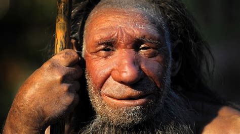 R Tsel Neandertaler Warum Starben Sie Aus Planet Wissen