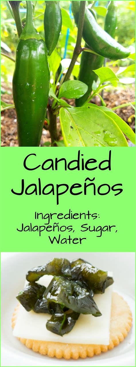 3 Ingredient Candied Jalapenos Recipe Recipes Spicy And All You