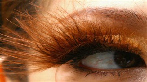this woman has the world s longest eyelashes