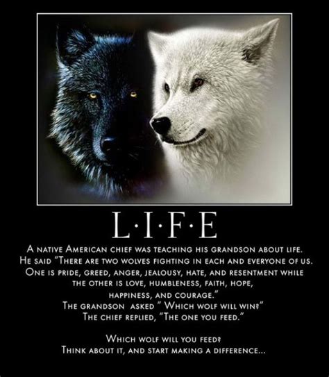 Life Two Wolves Wolf Quotes Two Wolves Lone Wolf Quotes