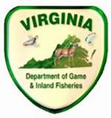 Virginia Game And Inland Fisheries Fishing License Images