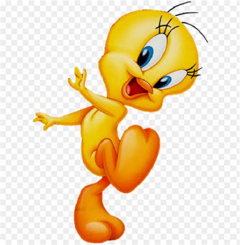 Tweety Birds Png Transparent With Clear Background Id 217396 Toppng