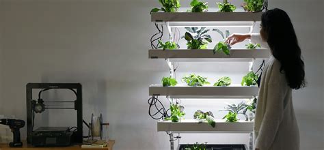 Hydroponic Growing At Home Fasci Garden
