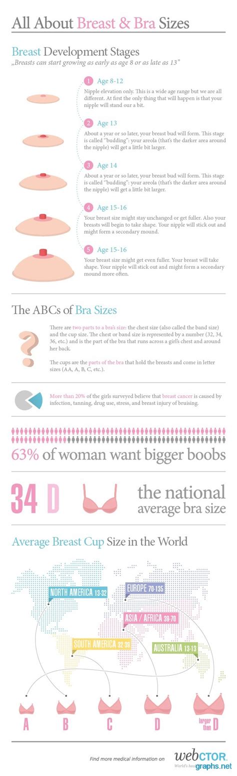 breast development stages chart graph infographics
