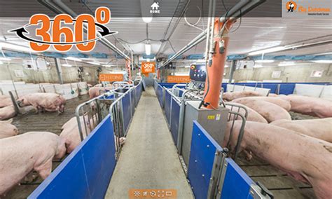 Farrowing Pens Bd Swing Sow Management Big Dutchman Usa