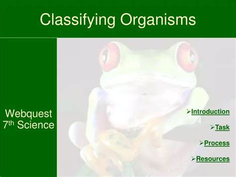 Ppt Classifying Organisms Powerpoint Presentation Free Download Id