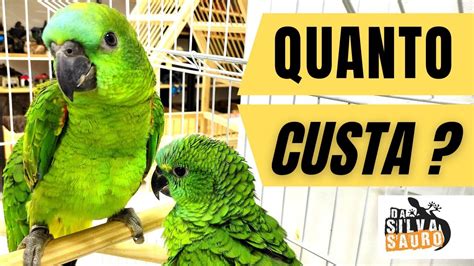 Quanto Custa Para Legalizar Um Papagaio