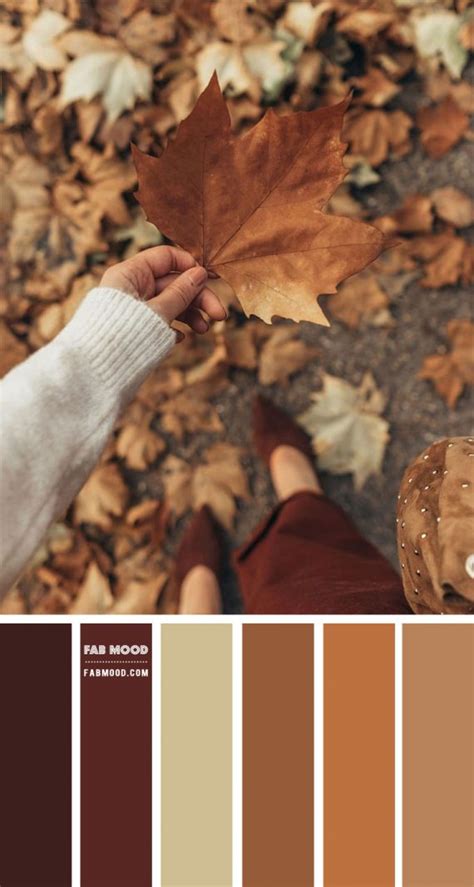 Fall Color Palette Rustic Color Palettes Fall Colors