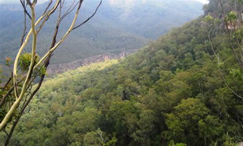 Relax with our price promise & free cancellation on select hotels in bundanoon. Morton National Park