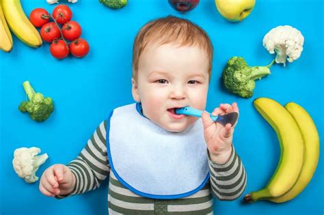 Guía de Alimentación Complementaria del bebé BABYCOCINA
