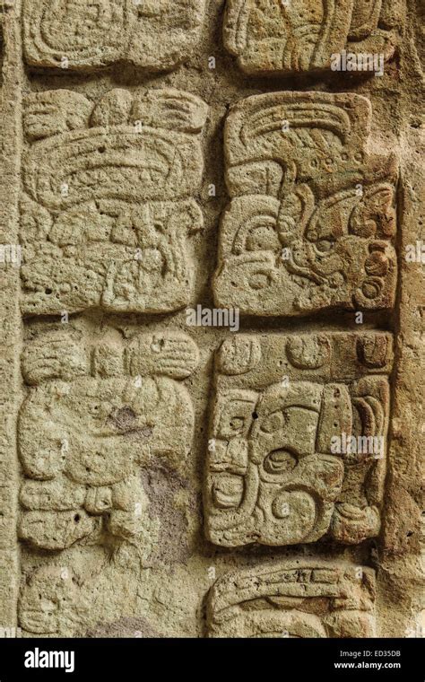 Maya Hieroglyphs Stock Photos And Maya Hieroglyphs Stock Images Alamy