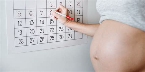 Quantos Meses São 41 Semanas